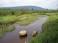 Image of How many trails does Canaan Valley have?