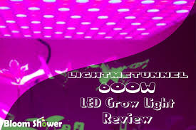 These lights are better than any other alternative at the 6. Lightimetunnel 600 Watt Led Grow Light Review Led Grow Lights Grow Lights Led Grow