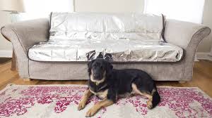 Pet Parents Painfree Pet Repeller Cat And Dog Deterrent Mat Nonelectric Pet Deterrent Mat To Keep Pets Off Couch Keep Dog Off Couch Dog Deterrent Cat Deterrent