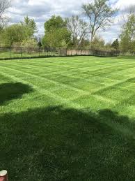 From daily lawn care maintenance to landscape design, we handle it all! Jdb6ummud7eysm