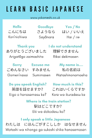 Basic Japanese Words Pdf