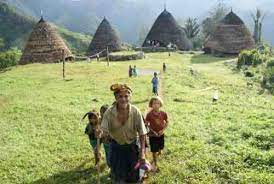 Vor 2 tagen · tarif tiket masuk yang cukup terjangkau dengan panorama alam menawan di pulau padar ini sungguh sayang untuk dilewatkan. 5 Thrilling Things To Do In Wae Rebo Village