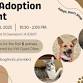 Pet Adoption Event with Kings Harvest Pet Rescue event image