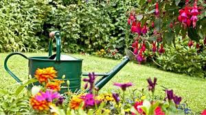 Mein schoener garten kalt garten gestalten app am besten. Mein Garten Tipps Fur Die Gartengestaltung