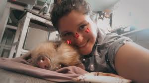 Hi everyone! How big (and old) is your pig? (Please post pics of your  darlings in the comments!! 🥹) This is Orwell ! He was born in November -24  and is supposed