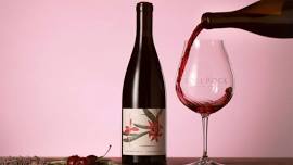 Gamay Pick-Up Party