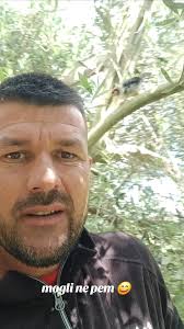 Soni Alpeki: Mogli Ne Pem 😄