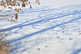 Image result for Light Spectrum Blue 1991 Shadow