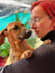 07/01/2025 Our website is upto date with all dogs available for adoption  right now..adopt don't shop!! Please click