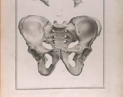 Les fakta om hva en bekkenløsning innebærer samt symptomer på bekkenløsning. Bekkenlosning For Og Etter Fodsel Din Helse Bjolsen