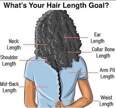 It's a length many women desire and looks glamorous worn in loose waves, deep layers, or a high ponytail. The Fullest Hair Length Chart That Describes All Hair Lengths Hadviser