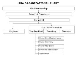 Pba Organization