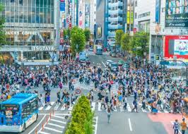 日本华侨报 - News update