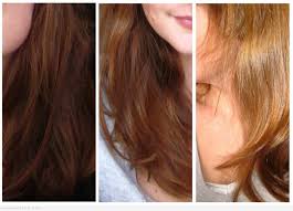 وصفة الكركم والبابونج لصبغ الشعر باللون البني العسلي Hair Styles Hair Beauty
