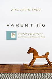 In 1997, i wrote my first book, age of opportunity: Parenting 14 Gospel Principles That Can Radically Change Your Family English Edition Ebook Tripp Paul David Amazon De Kindle Shop