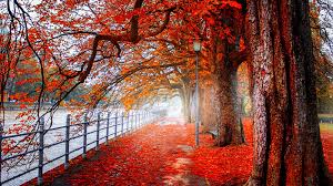 Image Result For 4k Wallpaper Download Hd Nature Wallpapers Landscape Wallpaper Uhd Wallpaper