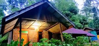Pada tahun 2020, penduduk kota kutacane berjumlah 5.354 jiwa, dengan kepadatan 0,92 jiwa/km². Thousand Hills Pelukan Hutan Leuser Jayakarta News