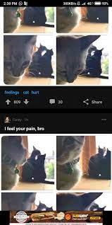 Your shot 'cause i armed you but i'll be honest always towards you i think i went went way too far. We Can T Rewind We Ve Gone Too Far This Is Too Much I M Just So Fkin Sad 9gag Is This Now 9gag