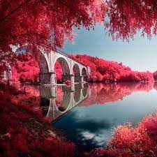 Infrared Lens Filter Successfully Mimics The Look Of Kodak Aerochrome Film Infrared Photography Ir Photography Scenery
