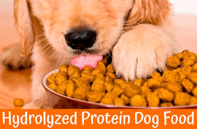 Some dog food companies provide novel foods ( ingredients that your dog has not tried before). 4 Best Hydrolyzed Protein Dog Food Make Best Diet For Your Dog