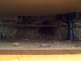 It could be assembled through putting together any fibrous product discovered by these mice likes to be in warm places, so the most ideal spot in the house for nests are behind your stove with a dim light and behind your refrigerator. What Does A House Mouse Nest Look Like Nesting Habits Removal