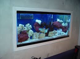 55 Gallon In Wall Tank Fish Tank Wall 55 Gallon Gallon