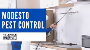 Hopefully these few tips have given you a bit more confidence in your decision. Pest Control Modesto Ca Reliable Termite Solutions