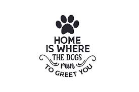 You'll instantly receive 18 extra svg and clipart designs so you can. Pin On Pets