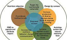 The theoretical framework of this research takes into account the following theories and one model which is much related with the research topic. The Kap Survey Model Knowledge Attitudes And Practices Spring