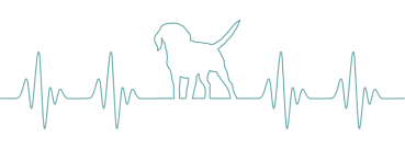 On a typical day at passion for pets, i would serve customers, answer the phone, use the cash register, clean up after puppies, sweep, vacuum. Wagging Dog Rescue Home Facebook