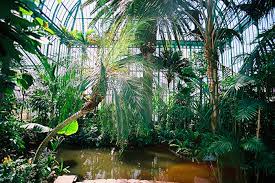 zigzag on twitter traditional greenhouses greenhouse green house aesthetic