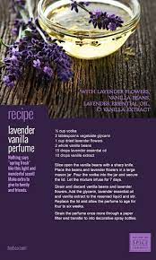 Recipes Lavender Vanilla Perfume Mb Spice Co Vanilla Perfume Lavender Perfume Dried Lavender Flowers