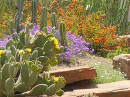 Als ik daar aankom ben. Hoover Dam Tour With Ethel M Chocolate Factory And Botanical Cactus Garden Visit Las Vegas Get Local Tour
