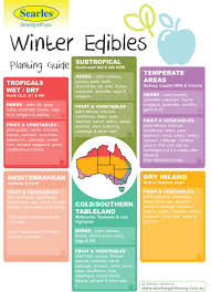 To make sure the bees can find your vegetable plants, companion plant flowers with high nectar concentrations or in shades of blue, yellow, or white. Gardening And Planting Calendar Australian Climates Winter Herb Vegetables Fruit Searles Gardening