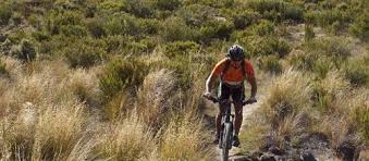 Second, animal crossing is a game in which the plot is of little importance. Mountain Biking Amazing Experience Book Now World Expeditions