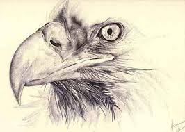 Disegni a matita facili animali. Disegni A Matita Ritratti Disegni A Carboncino Disegni A Pastello Disegni