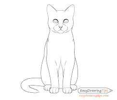 Draw the rough shape of the front legs that will curve slightly outwards about halfway up the body and then angle a little bit inwards. How To Draw A Cat Step By Step From Front View Easydrawingtips