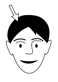 There is even a bonus sticker page that will be sure to leave a smile on your daughter's face. Coloring Page Hair Free Printable Coloring Pages Img 26949