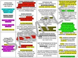 Electrolytes Chart For Nursing School Andi Rn Charting