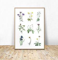 Floral Printable Wall Art Botanical Flower Chart Flowers Poster Flower Types Instant Download Flowers Printable 11x14 16x20 A3 8x10