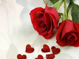 24 gambar bunga rose mawar cantik cocok untuk wallpaper koleksi gambar bunga mawar merah wallpaper setangkai ros merah terbaru download gambar bunga mawar cantik gratis gambar setangkai bunga free download untuk desktop android ios blackberry dan windows phones. Terkeren 24 Wallpaper Bunga Mawar Love Gambar Bunga Indah