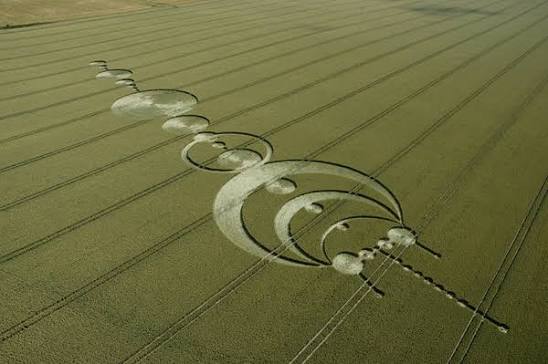 Windmill Hill, Wiltshire | 17th July 2004 | Wheat OH - Temporary Temples