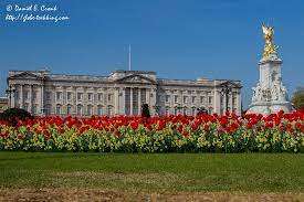 Buckingham Palace Residence Of The Queen Of England Here She Queens And Vacuums Buckingham Palace Queen Of England Buckingham