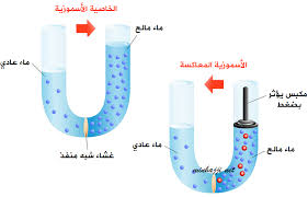 منهاجي متعة التعليم الهادف رابعا تنقية الماء