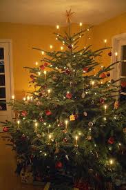 Christmas Tree 16630b Beautiful Christmas Trees Christmas Tree Christmas Tree Candles