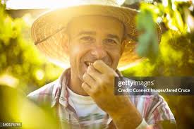 89 Ruch Oregon Stock Photos, High-Res Pictures, and Images