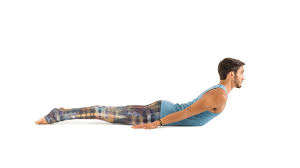 Locust Pose Yoga Pose Ideas Yoga Poses For Men Yoga Positions