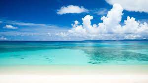 We did not find results for: Tropical Beach 4k Ultra Hd Beach 3840x2160 Wallpaper Teahub Io