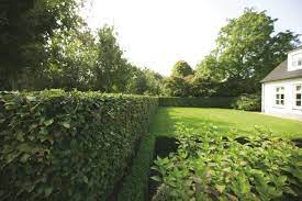 Damit ihr garten auch bei über 37 grad grün bleibt und nichts verbrennt, is Gruner Garten Auf Die Schnelle Inspirations By Haro