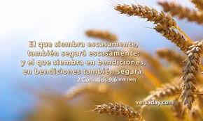 Siembra Y Cosecha Frases De Siembra Siembras 2 Corintios Oraciones Catolicas